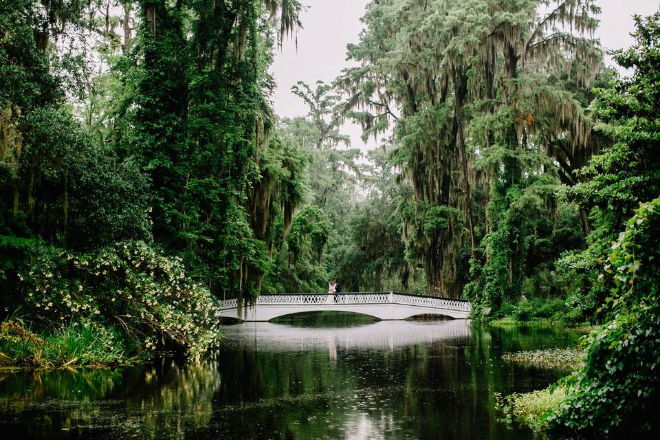 Magnolia Plantation and Gardens